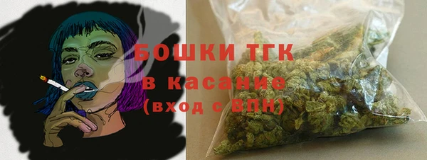 ГАЛЛЮЦИНОГЕННЫЕ ГРИБЫ Алзамай
