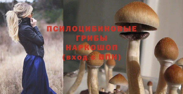 крисы Алексеевка
