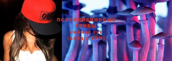 ГАЛЛЮЦИНОГЕННЫЕ ГРИБЫ Алзамай