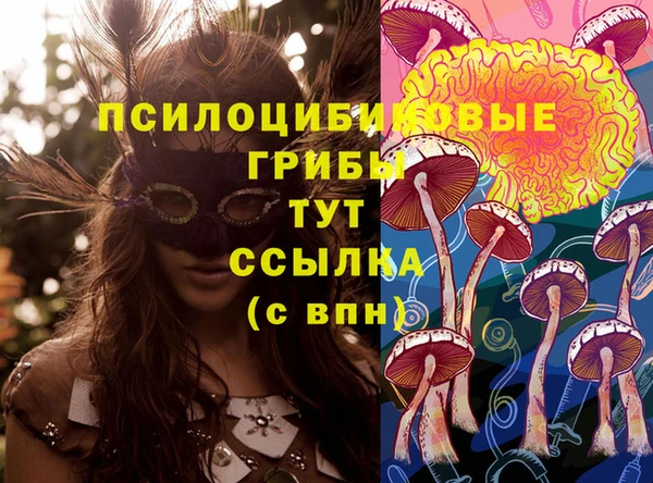 крисы Алексеевка